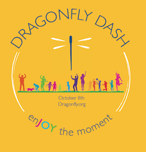 Dragonfly Dash Logo