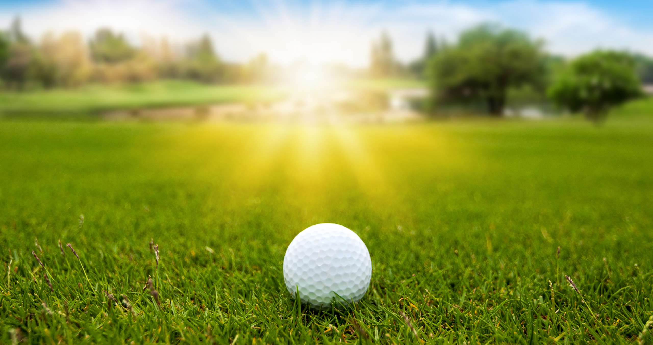 Golf ball on green grass on blurred beautiful landscape of golf course